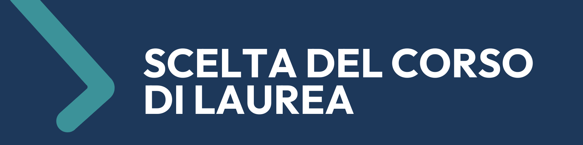 Scelta del corso di laurea