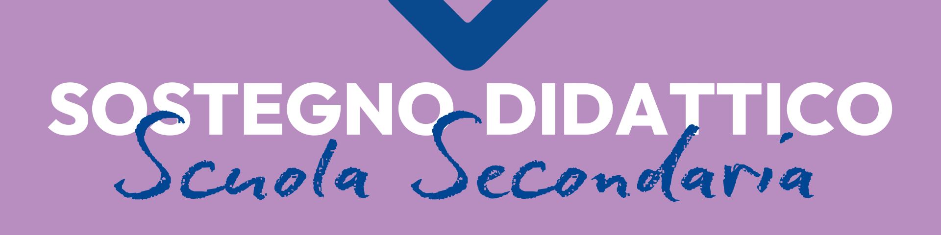 Sostegno didattico nella Scuola secondaria di primo e secondo grado