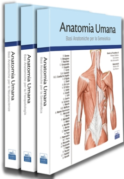 Anatomia Umana