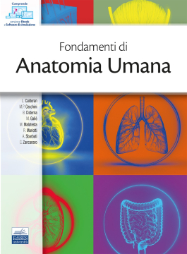 [EBOOK] Fondamenti di Anatomia Umana