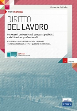 [EBOOK] MiniManuale di Diritto del lavoro