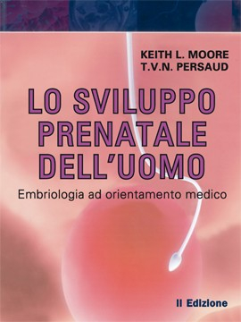 Lo sviluppo prenatale dell'uomo