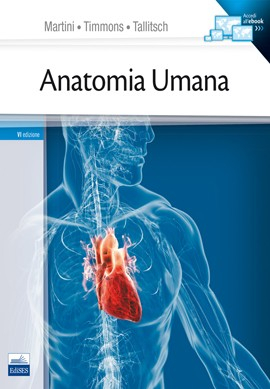 Anatomia Umana Anatomia Umana