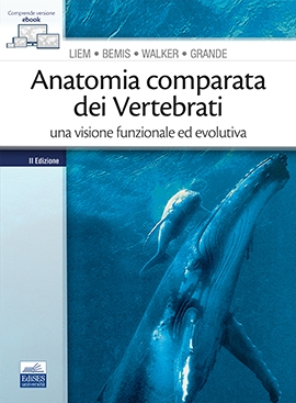 Anatomia comparata dei Vertebrati Una visione funzionale ed evolutiva