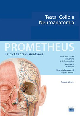 Prometheus – Testo Atlante di Anatomia – Testa, Collo e Neuroanatomia