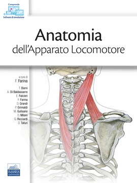 Anatomia dell'apparato locomotore