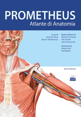Atlante di Anatomia - Prometheus