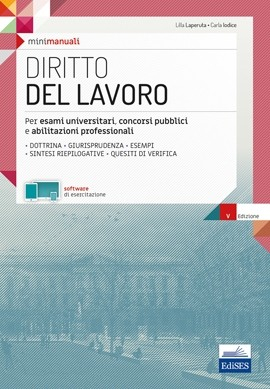 [EBOOK] MiniManuale di Diritto del lavoro