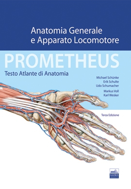 [EBOOK] Prometheus - Anatomia Generale e Apparato Locomotore