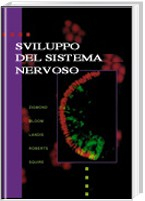Sviluppo del sistema nervoso
