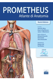 [EBOOK] PROMETHEUS - Atlante di Anatomia