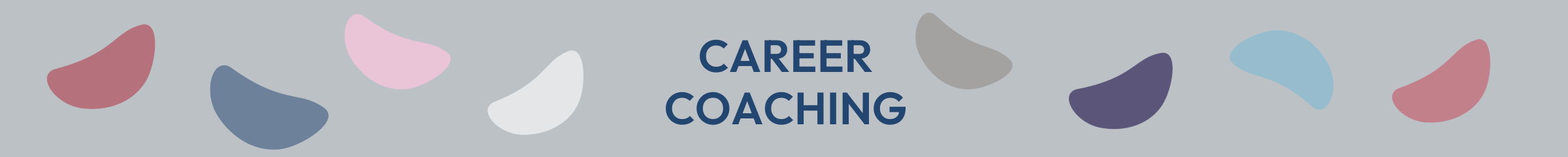 Career Coaching